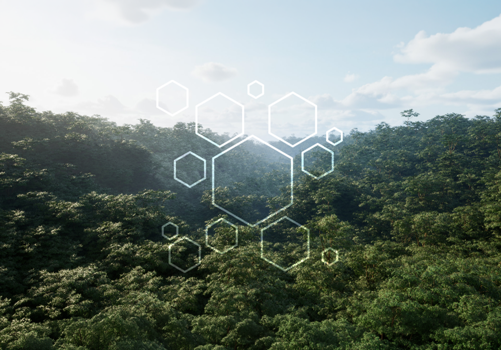 UE4.27～5.7虚幻蓝图 ia scatter v3.58 静态网格体实例散射工具-云鲸网