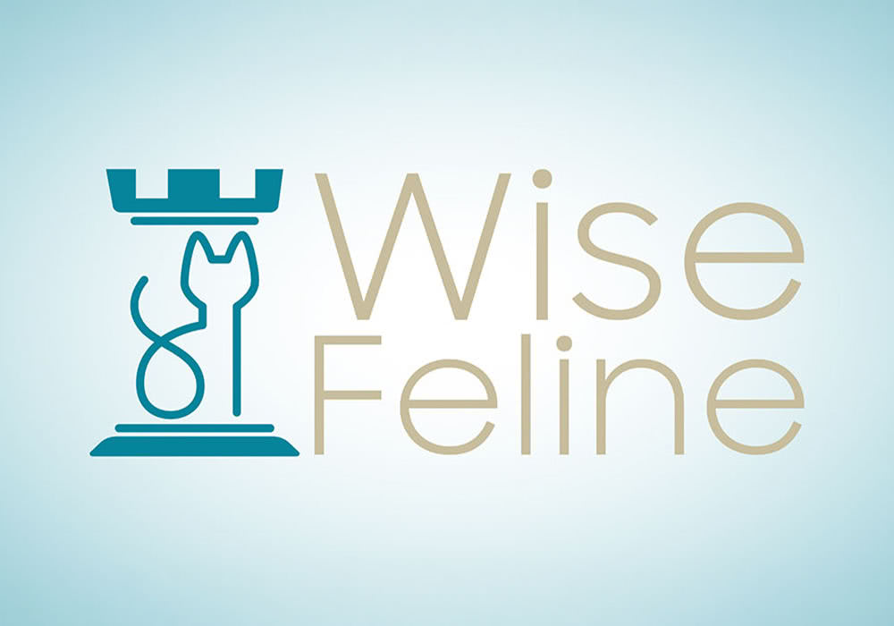 UE5.5～5.7虚幻5插件 Wise Feline v2.5.0 终极沉浸涌现实用人工智能工具-云鲸网